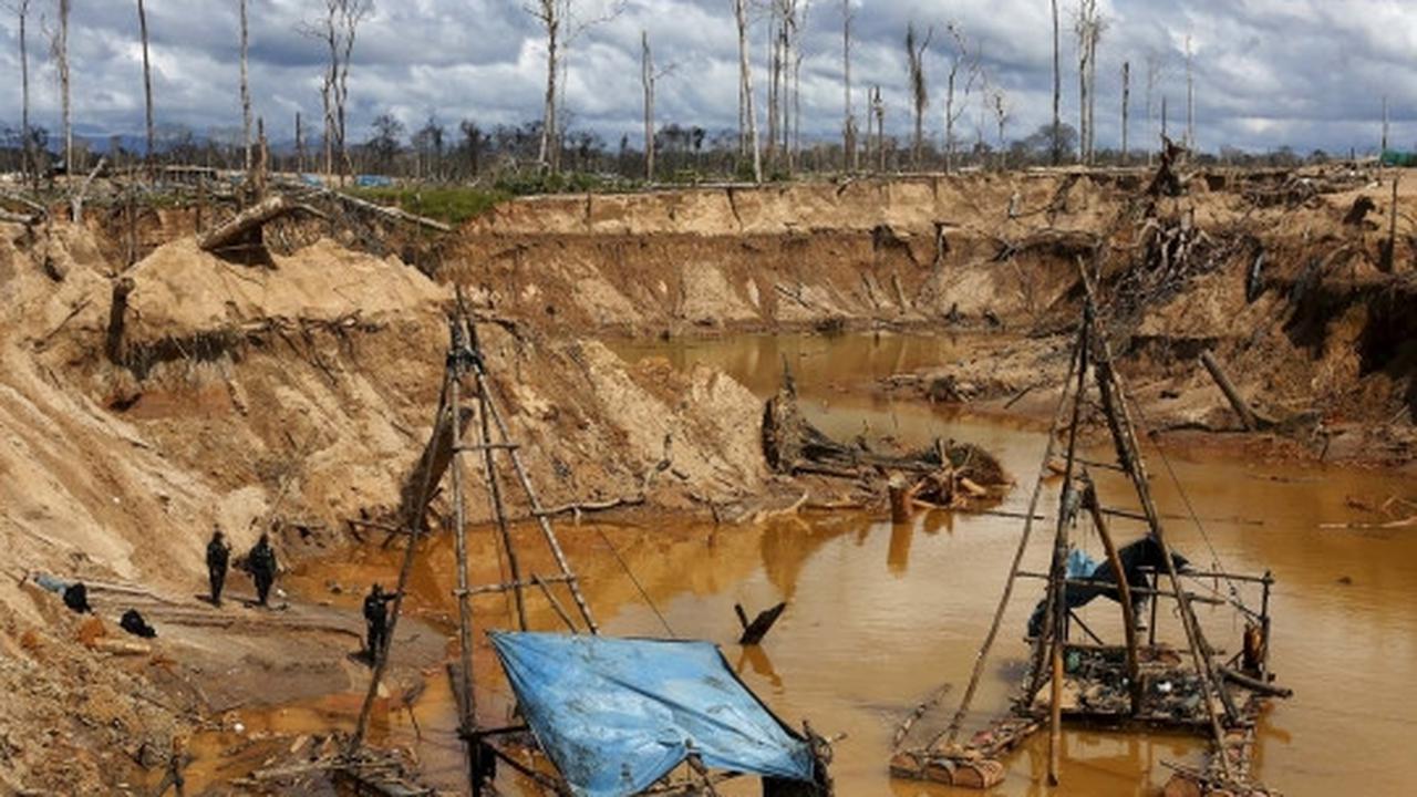Begini kondisi hancur Hutan Amazon yang digerogoti tambang liar