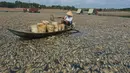 Laporan media lokal menyebutkan sebanyak 200 ton atau 200.000 kg ikan mati. (STR / AFP)