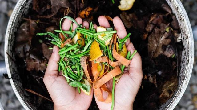 Kompos: solusi olah sampah organik