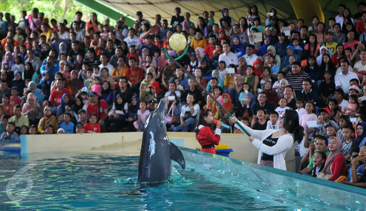 Atraksi Dolphin Christmas Show di Ocean  Dream Samudera Ancol, Jakarta, Jumat (25/15/2015). Pertunjukan tersebut diadakan dalam rangka menyambut libur Natal. (Liputan6.com/Gempur M Surya)