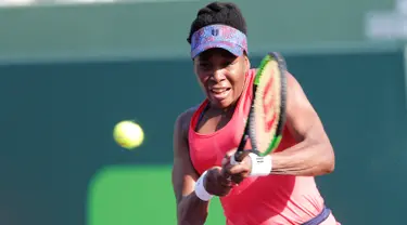 Petenis putri AS, Venus Williams mengembalikan bola ke arah juara bertahan Johanna Konta pada babak 16 besar Miami Terbuka di Candon Park, Senin (26/3). Venus membukukan kemenangan 5-7, 6-1, dan 6-2 dalam waktu 2 jam dan 19 menit. (AP Photo/Joe Skipper)