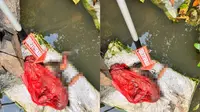 Usai Cabut Singkong, Buruh di Lampung Temukan Bayi