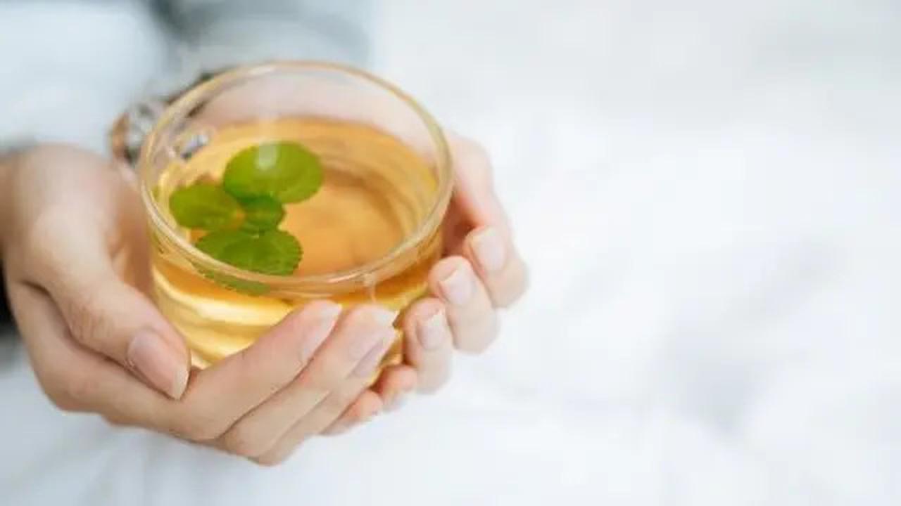Obat Herbal Alami untuk Menurunkan Kadar Kolesterol Tinggi.