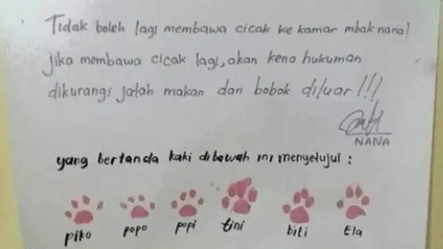 6 Pesan Untuk Kucing Lewat Tulisan Kertas Ini Nyeleneh, Bikin Ngakak
