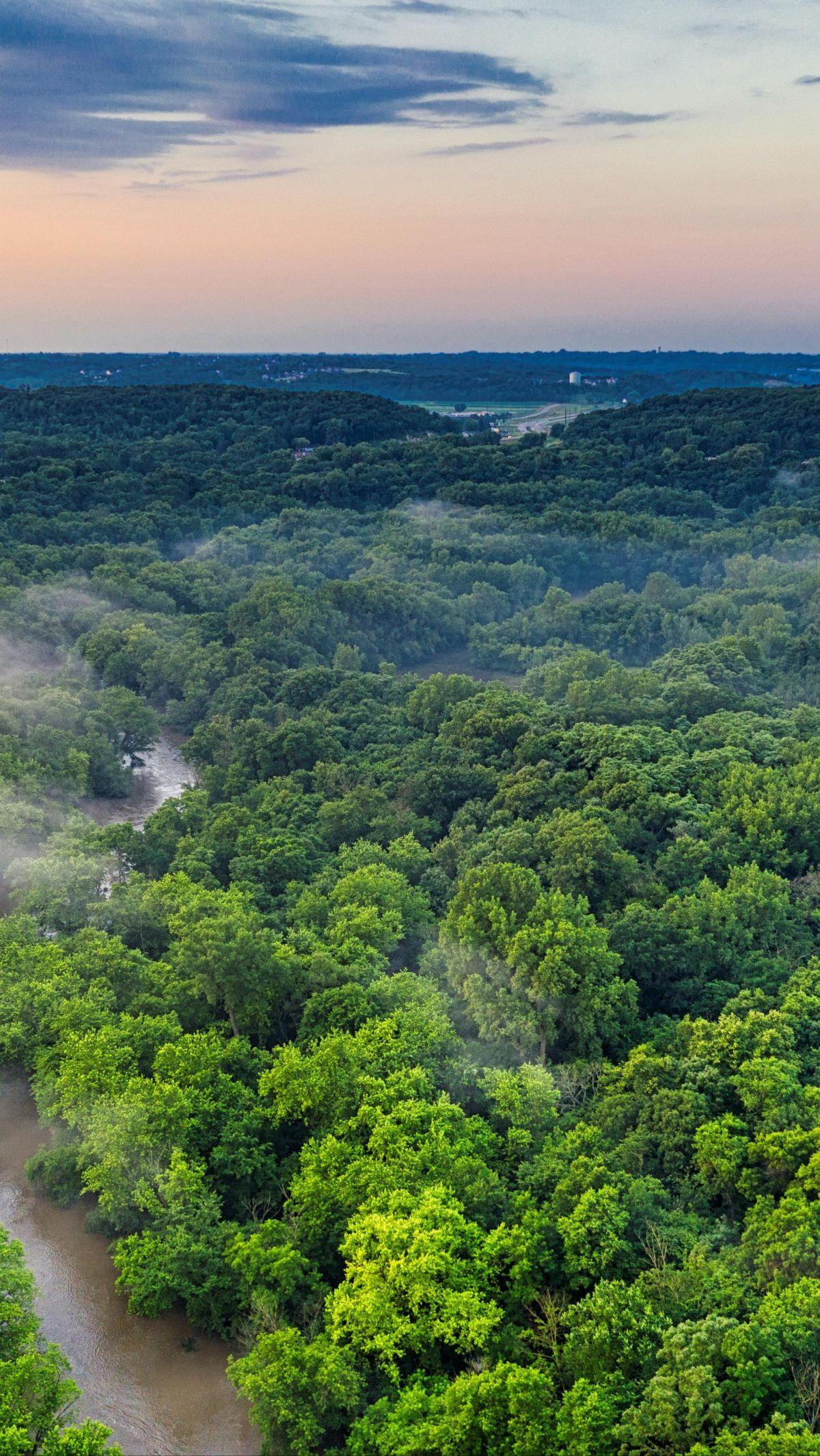 Amazonia