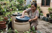 11 Tips Membasmi Jentik Nyamuk di Pot dan Wadah Air yang Ada di Halaman Rumah