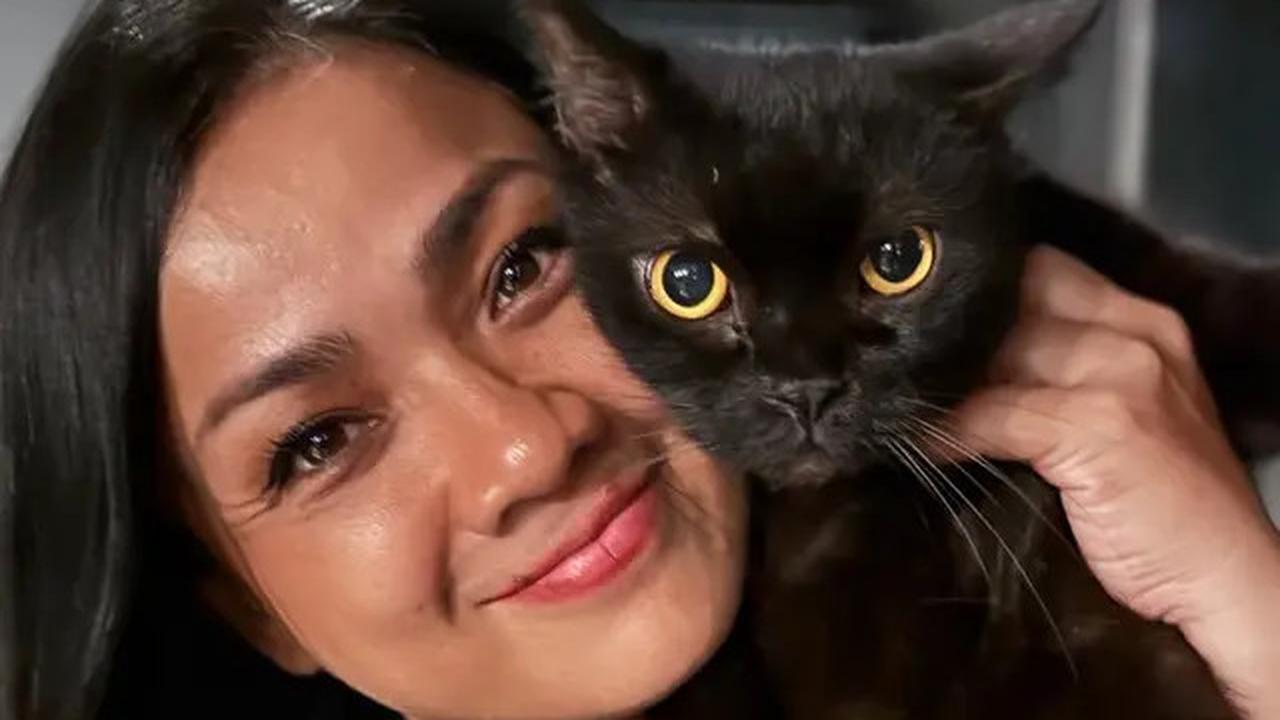 Foto-Foto Kucing Nirina Zubir, Banyak yang Diselamatkan dari Jalanan