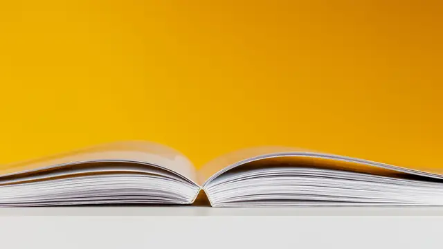Pengertian Novel