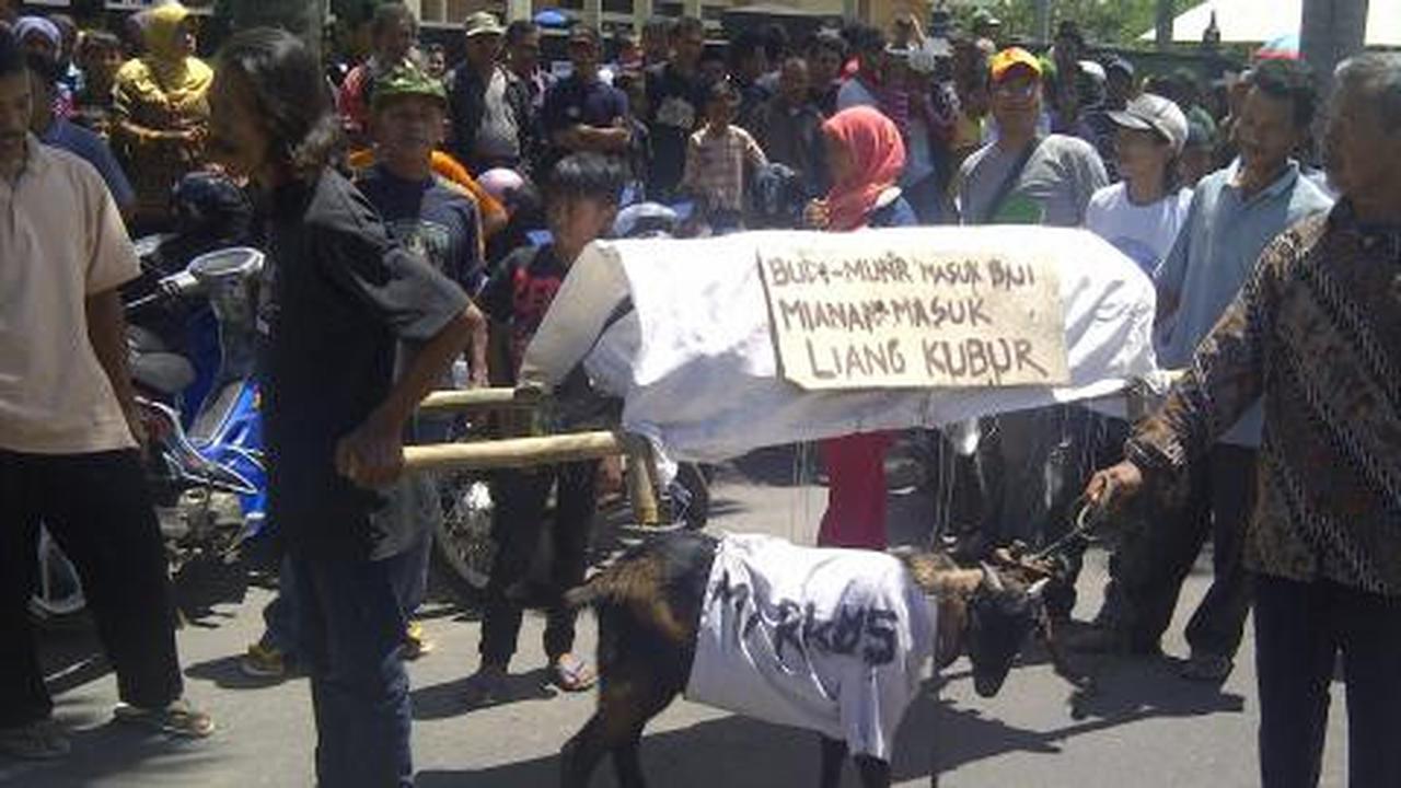 Datangi PN Mungkid, ratusan warga pemotong bambu bawa kambing