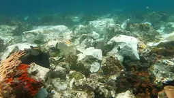 Kondisi terumbu karang yang rusak di perairan Raja Ampat usai dihantam kapal pesiar Inggris, Papua, Senin (13/3). Terumbu karang yang rusak diperkirakan mencapai 1.600 meter persegi. (AFP Photo/Bakamla)