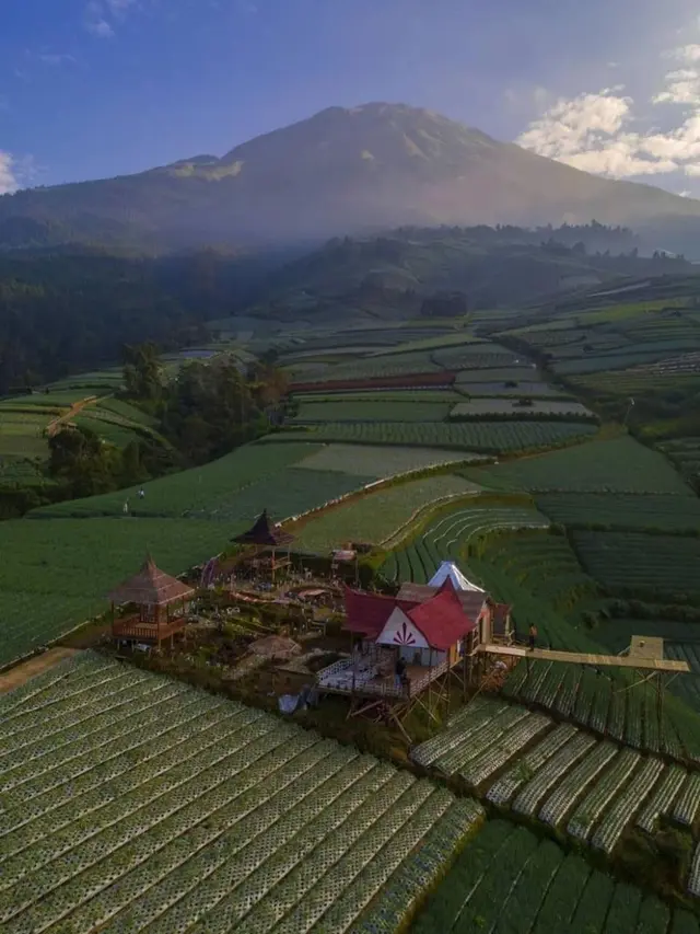Wisata Alam Terasering Berlatar Gunung Sumbing, Pemandangannya Mirip di Gim Minecraft