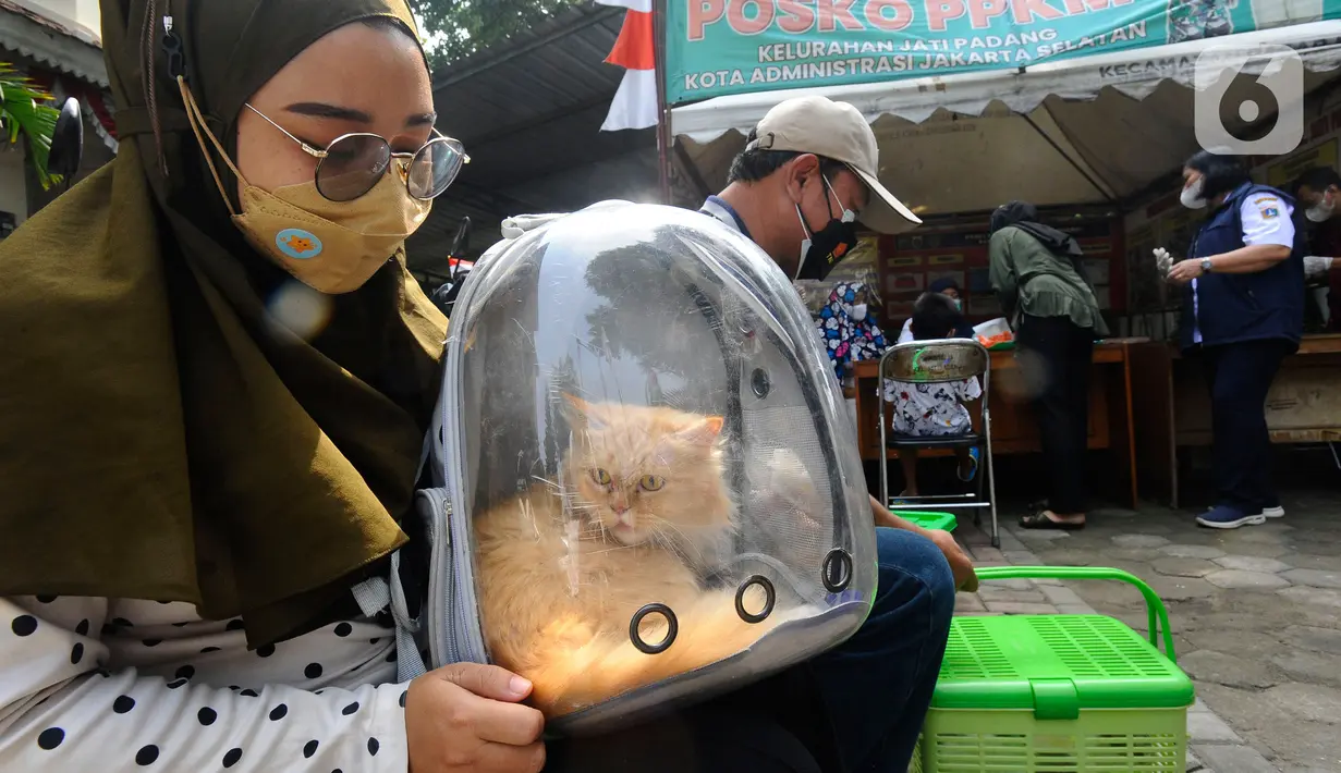Warga membawa hewan peliharaannya untuk mengikuti  program Vasinasi Rabies Gratis bagi Hewan Penular Rabies (HPR) di Kantor kelurahan Jati Padang, Jakarta Selatan, Rabu (31/8/20222).  Program vaksinasi gratis  yang diadakan oleh Suku Dinas Ketahanan Pangan Kelautan dan Pertanian Kota Jakarta Selatan ini bertujuan mencegah penyebaran rabies sekaligus memberikan perlindungan kepada manusia dari dampak gigitan. (merdeka.com/Arie Basuki)