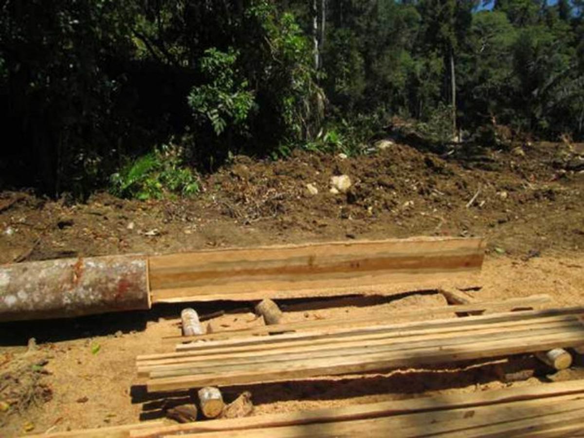 Parahnya kerusakan hutan lindung di Sulut akibat tambang ilegal