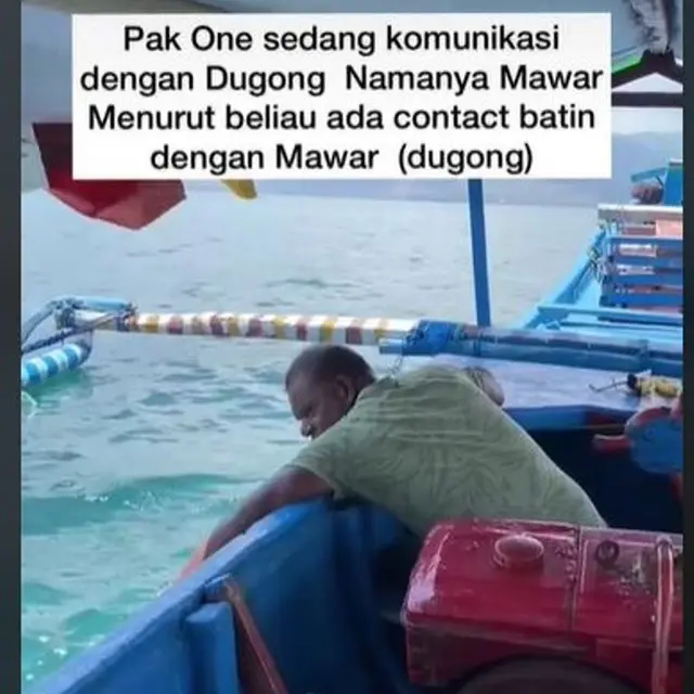 Tak Hanya Komodo, NTT Juga Punya Dugong yang Menggemaskan