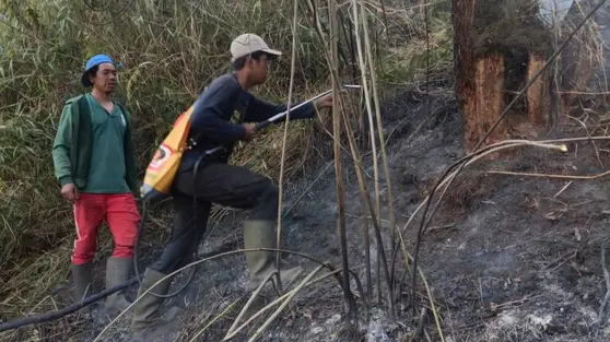 Hutan di Ranu Kembang Terbakar, Jalur Pendakian Gunung Semeru Ditutup Total