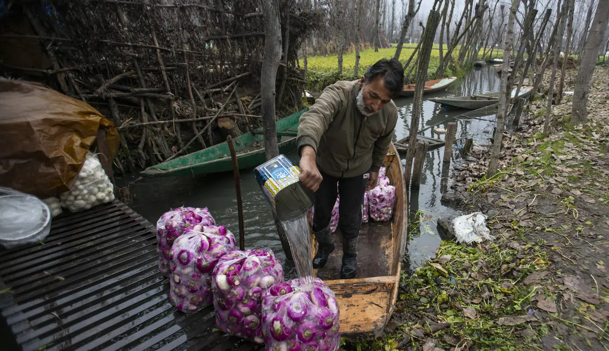 Seorang pedagang sayur Kashmir mencuci karung lobak sebelum membawanya ke pasar untuk dijual pada hari yang dingin di Srinagar, Kashmir yang dikuasai India, Minggu (26/12/2021). (AP Photo/Mukhtar Khan)