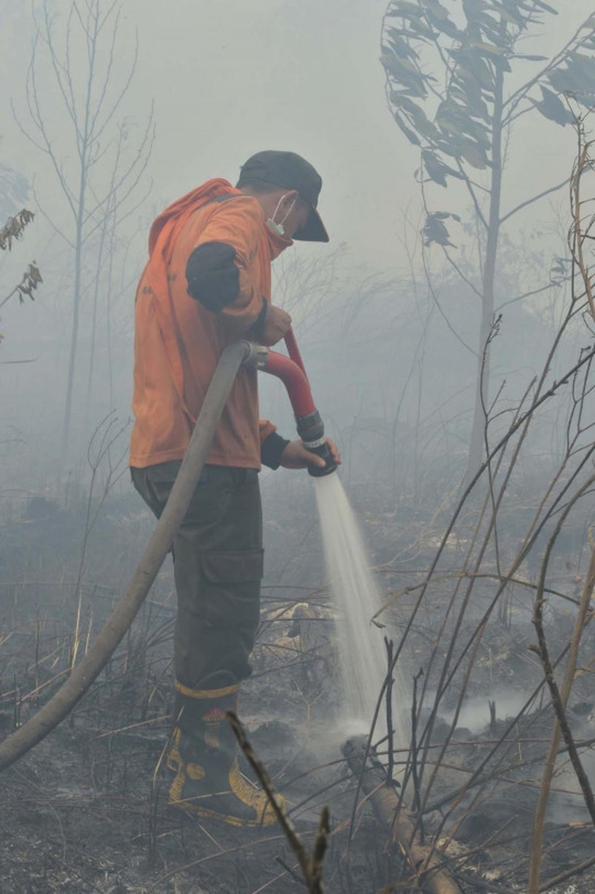 Aksi tim gabungan terobos asap tebal padamkan kebakaran hutan Riau