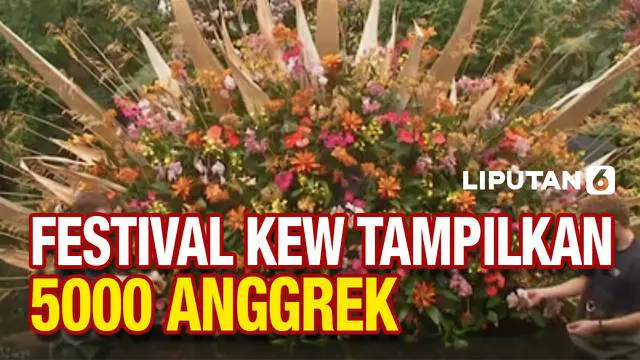 Festival Anggrek Kew di London, Inggris bakal mulai digelar dari 5 Februari hingga 6 Maret 2022. Tahun ini tema yang diangkat adalah kekayaan alam Kosta Rika, diperkirakan bakal ada 5000 anggrek yang bakal dipamerkan.