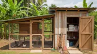 7 Model Kandang Ayam Multifungsi Sekaligus Tempat Penyimpanan Pakan, Hemat Tempat dan Praktis