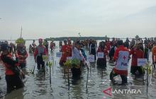 PMI Batang Sulap Kawasan Rob Jadi Objek Wisata Perikanan, Tingkatkan Kesejahteraan Warga