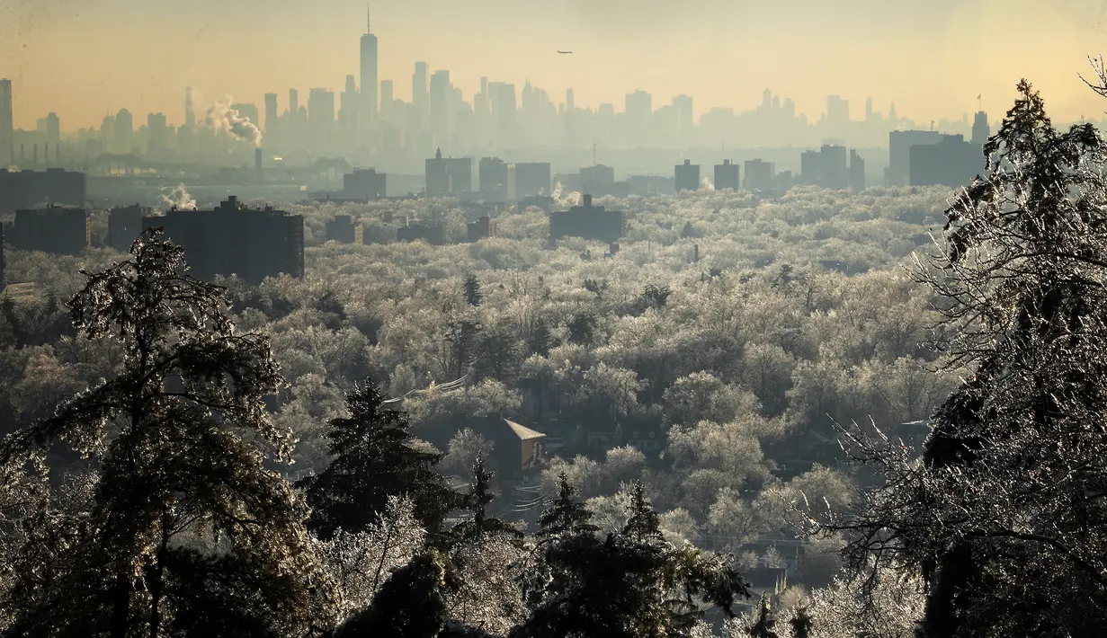 Pohon-pohon bersalju membentang di depan cakrawala Kota New York di West Orange, New Jersey (18/12/2019). Badai musim dingin membawa malapetaka ke New Jersey ketika es menyebabkan pemadaman listrik dan menumbangkan pohon di seluruh wilayah tersebut. (Rick Loomis/Getty Images/AFP)