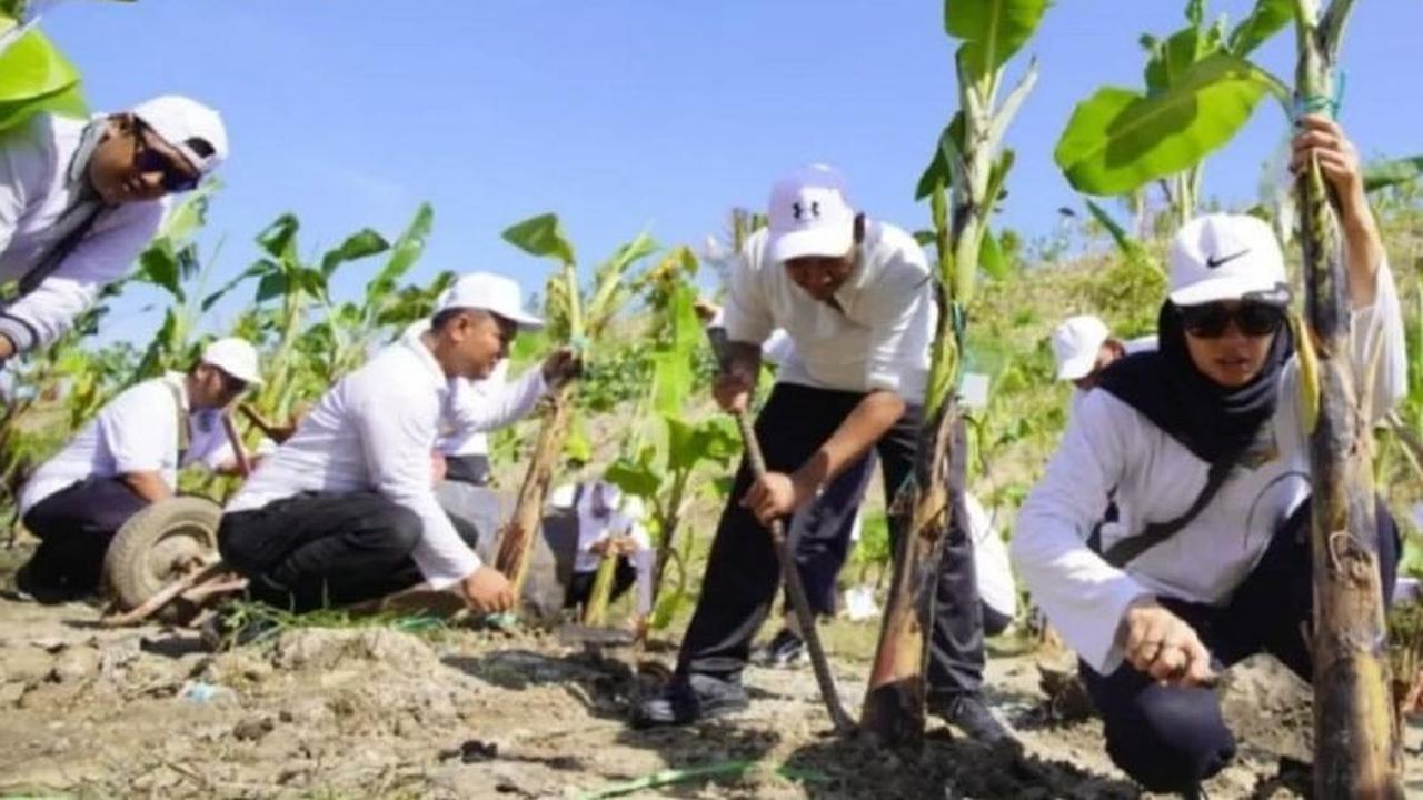 1.405 PPPK Paruh Waktu Sukses Lakukan Penanaman Pisang di TPA Winongo Madiun