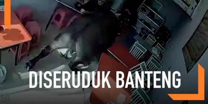 VIDEO: Ngeri, Banteng Seruduk Wanita ke Tempat Makan