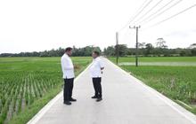Pembangunan Infrastruktur Jalan Dongkrak Ekonomi Banten: Pertumbuhan Positif dan Daya Beli Petani Meningkat