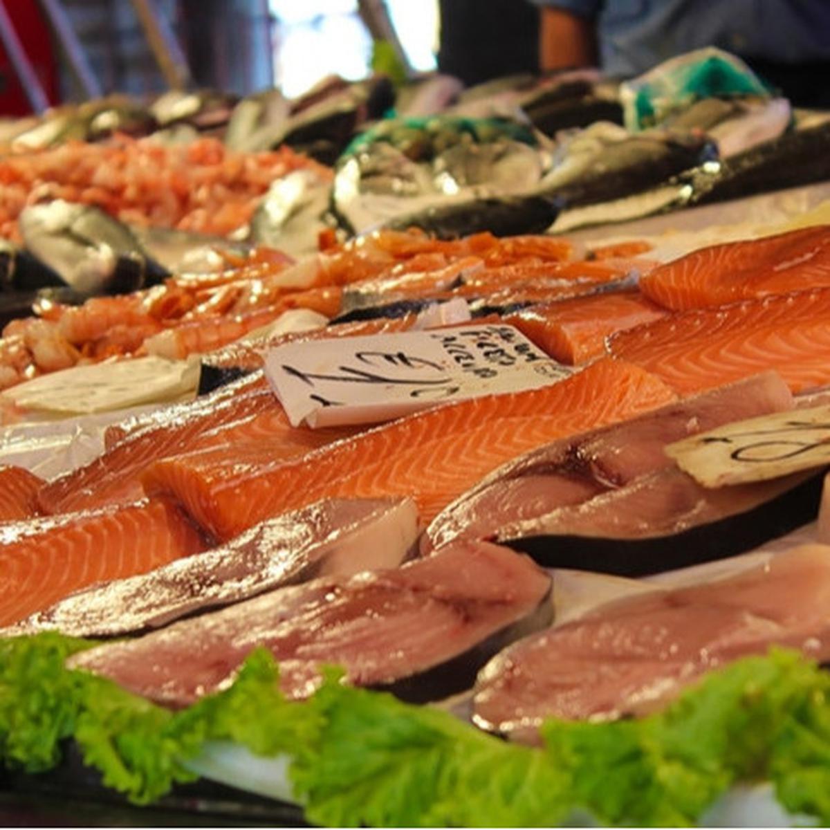 Ikan tuna