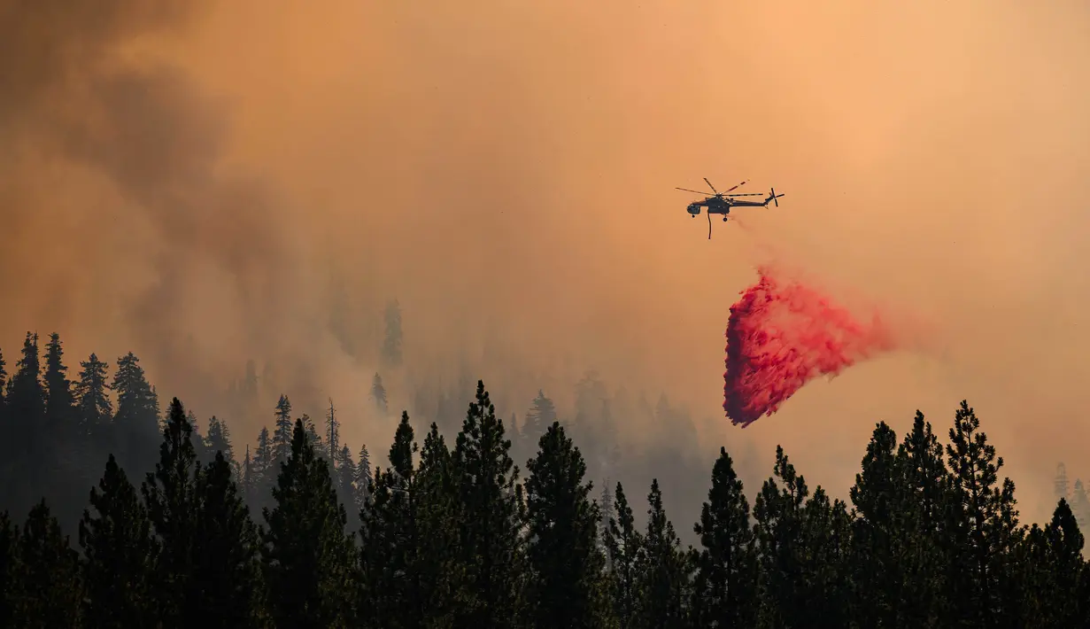 Di kawasan lain di California, petugas pemadam kebakaran masih berusaha memadamkan kebakaran hutan yang masif yang terjadi sejak 24 Juli lalu. (JOSH EDELSON/AFP)