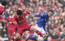 Prediksi Pertandingan Plymouth Vs Liverpool, 9 Februari 2025