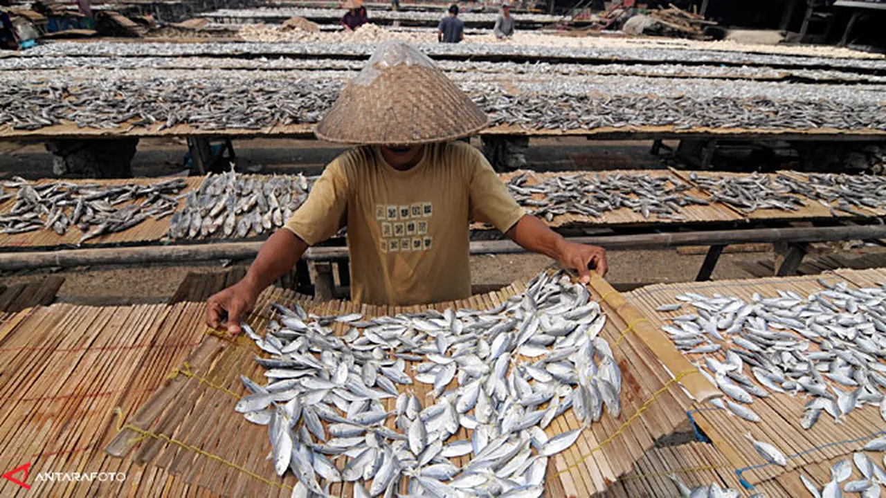 ikan-asin130713a.jpg