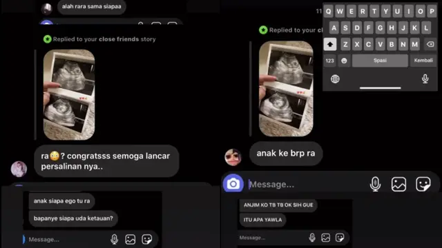 Kucing 2