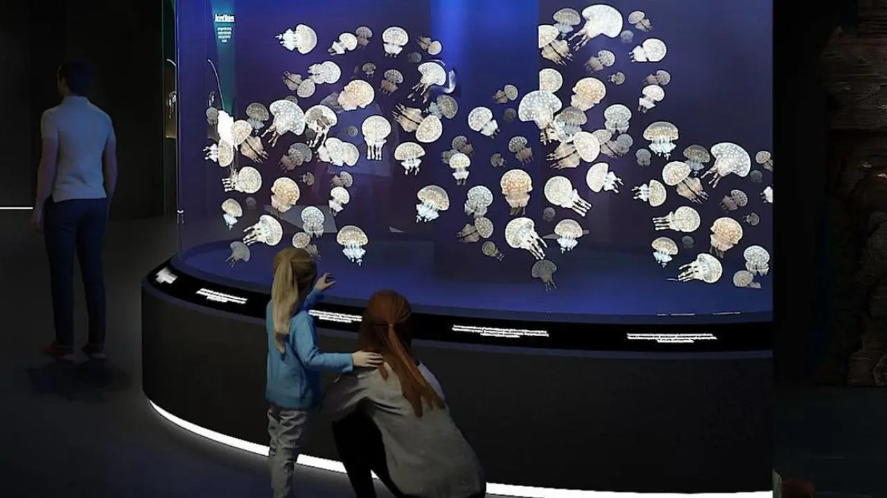 Tiket Singapore Oceanarium Dijual Mulai 24 Juli 2025, Ajak Anak Liburan Menyaksikkan Atraksi Dunia Bawah Laut
