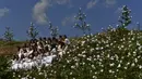 Las Doncellas (gadis) berpakaian putih dikelilingi oleh bunga saat ambil bagian dalam ziarah The Maidens di Sorzano, Spanyol, 15 Mei 2022. Menurut tradisi kuno, ziarah The Maidens bertujuan untuk menghormati musim semi dan kesuburan wanita. (AP Photo/Alvaro Barrientos)