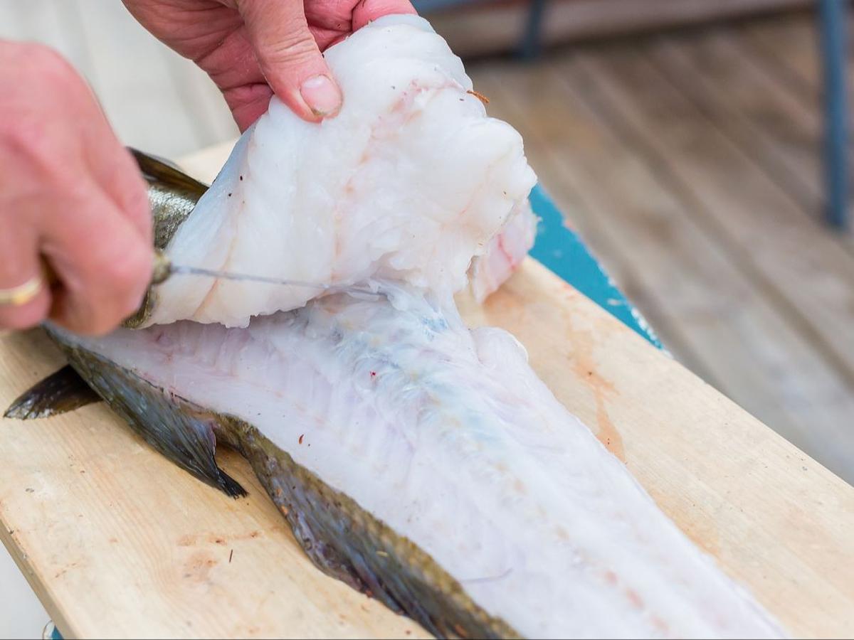Tips Mengolah Ikan Gindara