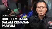 Modus Baru Edarkan Bibit Tembakau Sintetis dalam Botol Parfum