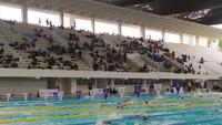 Riuh Dukungan Penonton Bakar Semangat di Hari Pertama Indonesia Open Aquatic Championships 2025