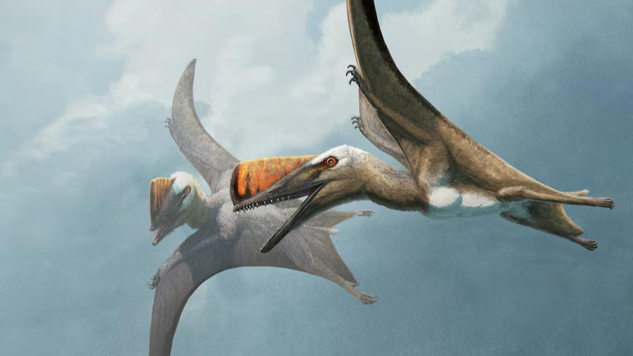 Ilmuwan Temukan Sepupu Dinosaurus, Burung Purba Berekor Pedang dengan Sayap Sepanjang 2 Meter dan Hidup 147 Juta Tahun Lalu