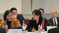 Ketua DPP Bidang Luar Negeri Banteng Muda Indonesia (BMI) PDI Perjuangan, Regina Vianney Ayudya (Istimewa)