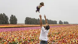 Warga dan anaknya saat berkunjung ke Taman Bunga Ranunculus di Kibbutz, Nir Yitzhak, di perbatasan Israel-Jalur Gaza (12/4). Taman Bunga Ranunculus ramai didatangi warga saat hari liburan Yahudi Pesach (Paskah). (AFP PHOTO/MENAHEM KAHANA)