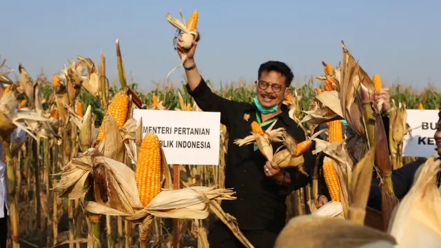 Kunker ke Kendal, Mentan SYL Panen Jagung dan Serahkan Bantuan Senilai Rp 8,72 Miliar 