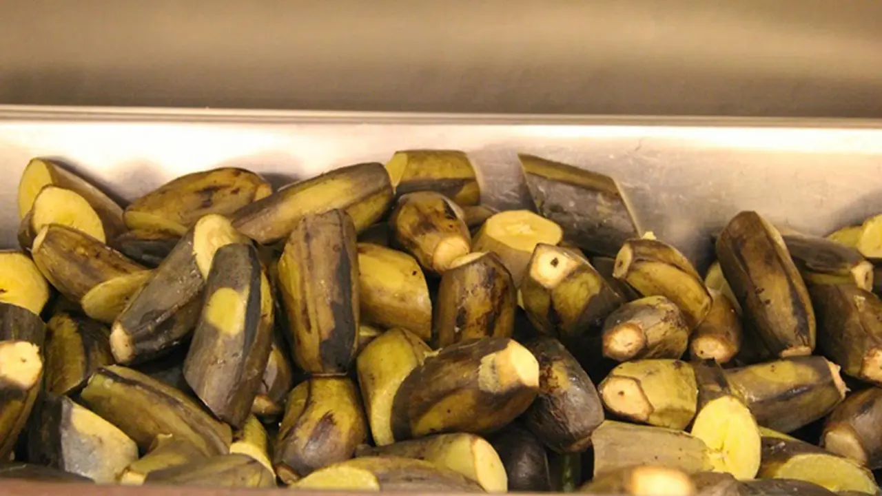 20150829-[TRAVEL-FOOD]
