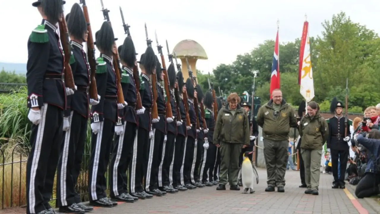 Brigadir Sir Nils Olav, Pinguin Penerima Gelar Kehormatan Militer