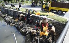Tahukah Kamu? 100 Karung Sampah Diangkut, Sungai Sanset Land Mataram Kini Bersih Berkat Aksi Duta Lingkungan & PLN