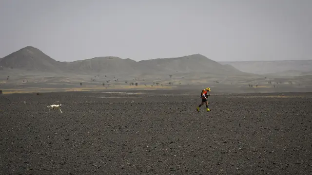Maraton Ekstrem Menyusuri 250 Km Gurun Sahara