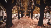 Makam Kemangi Kendal, Petilasan Kerajaan Mataram yang Menyimpan Kisah Misteri