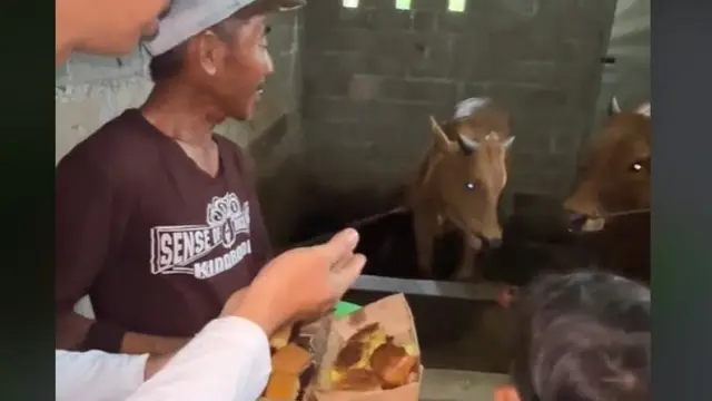 Viral Guru Beri Hadiah pada Muridnya yang Buktikan Ada Sapi Makan Martabak. foto: TikTok @pak_ributguruviral