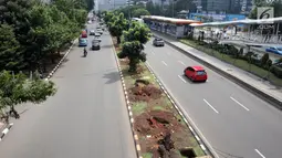 Pohon-pohon terdampak penataan ulang trotoar  di kawasan Sudirman, Jakarta, Jumat (9/3). Pemprov DKI Jakarta yang merelokasi pohon-pohon ini, sudah melakukan langkah tersebut terhadap 110 pohon hingga kini. (Liputan6.com/Arya Manggala)