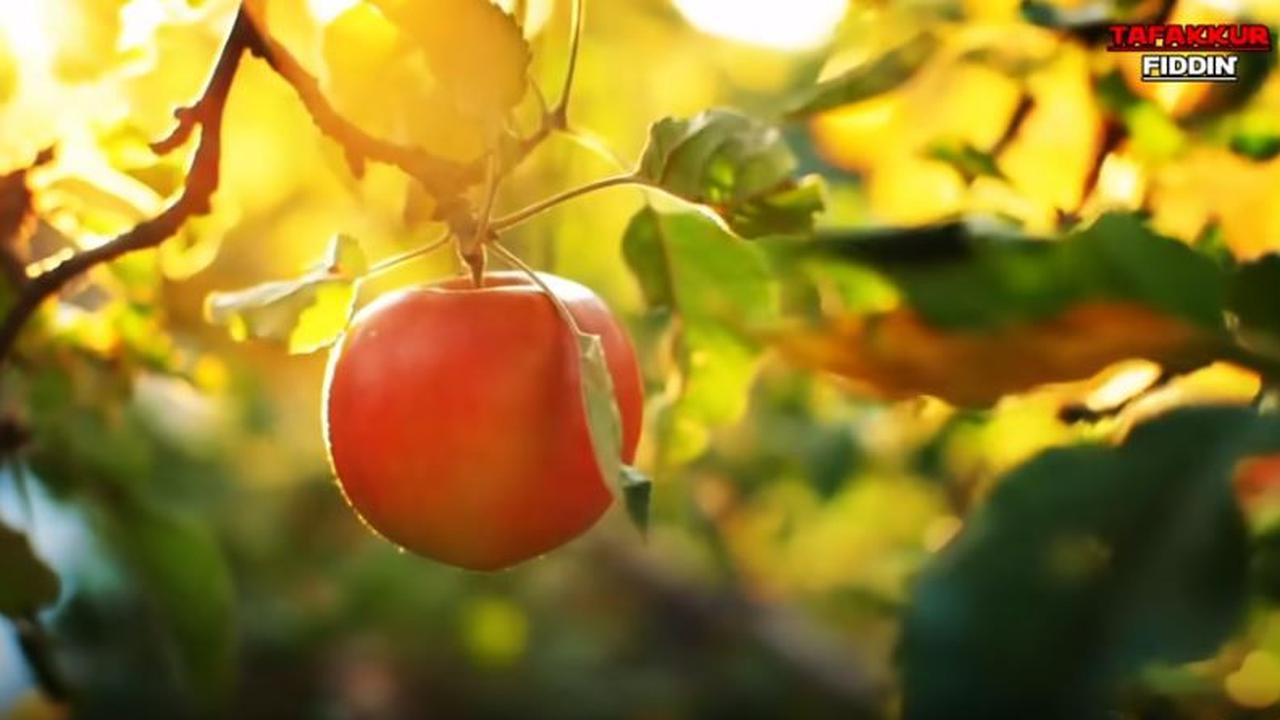 Nama-Nama Surga yang Disebut dalam Al-Qur'an, Lengkap Ciri-Ciri Penghuninya